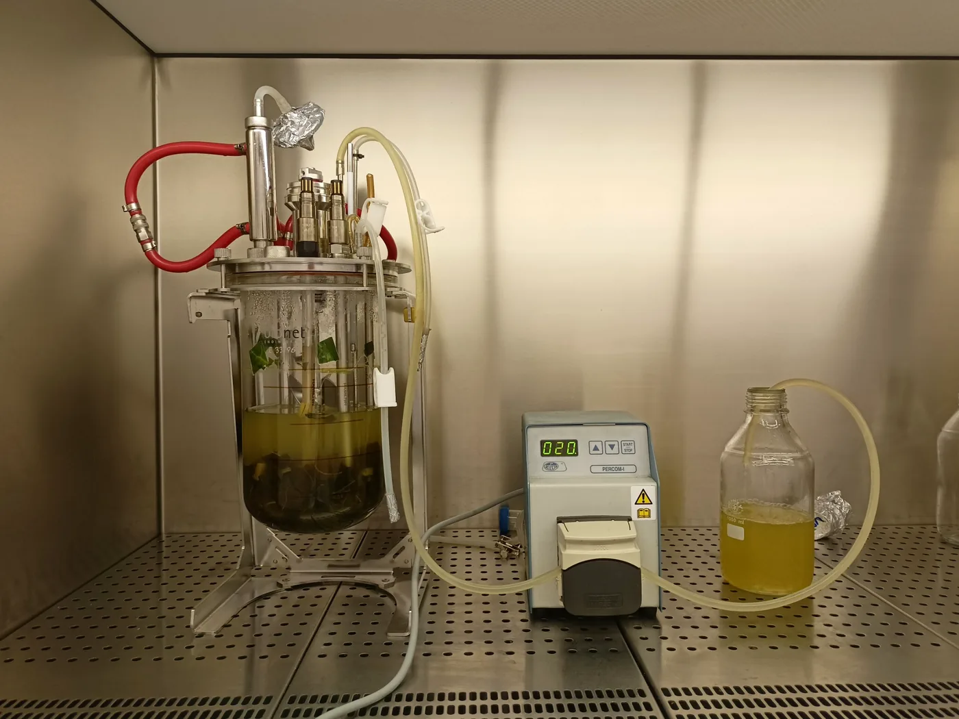 Fermentation bioprocess fermenter